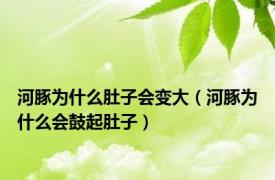 河豚为什么肚子会变大（河豚为什么会鼓起肚子）