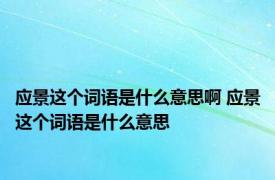 应景这个词语是什么意思啊 应景这个词语是什么意思