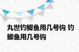 丸世钓鲫鱼用几号钩 钓鲫鱼用几号钩