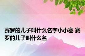 赛罗的儿子叫什么名字小小塞 赛罗的儿子叫什么名