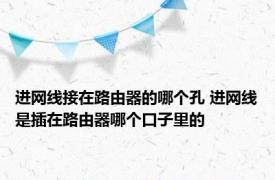 进网线接在路由器的哪个孔 进网线是插在路由器哪个口子里的