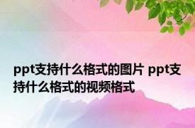 ppt支持什么格式的图片 ppt支持什么格式的视频格式