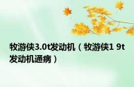 牧游侠3.0t发动机（牧游侠1 9t发动机通病）