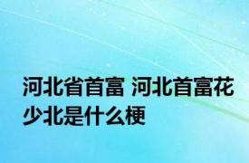 河北省首富 河北首富花少北是什么梗