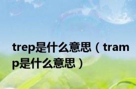 trep是什么意思（tramp是什么意思）