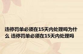 违停罚单必须在15天内处理吗为什么 违停罚单必须在15天内处理吗