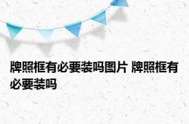 牌照框有必要装吗图片 牌照框有必要装吗