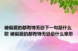 被偏爱的都有恃无恐下一句是什么歌 被偏爱的都有恃无恐是什么意思