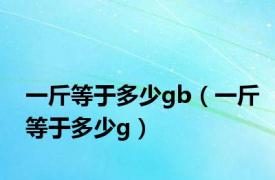 一斤等于多少gb（一斤等于多少g）