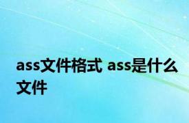 ass文件格式 ass是什么文件