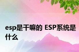 esp是干嘛的 ESP系统是什么