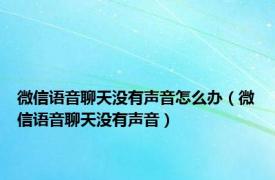 微信语音聊天没有声音怎么办（微信语音聊天没有声音）