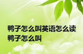 鸭子怎么叫英语怎么读 鸭子怎么叫