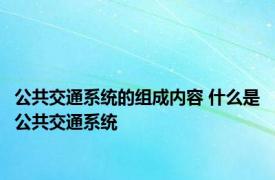 公共交通系统的组成内容 什么是公共交通系统