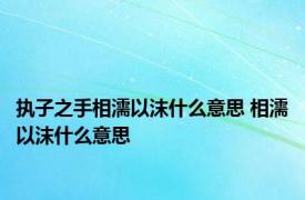 执子之手相濡以沫什么意思 相濡以沫什么意思