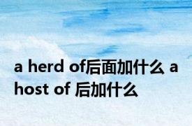 a herd of后面加什么 a host of 后加什么