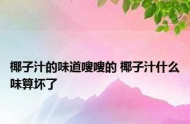 椰子汁的味道嗖嗖的 椰子汁什么味算坏了