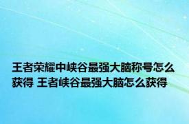 王者荣耀中峡谷最强大脑称号怎么获得 王者峡谷最强大脑怎么获得