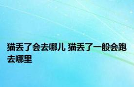 猫丢了会去哪儿 猫丢了一般会跑去哪里