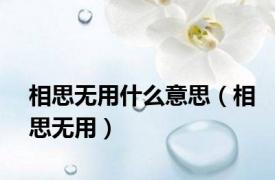 相思无用什么意思（相思无用）