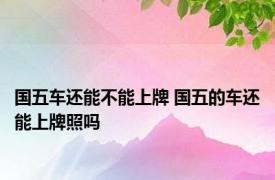 国五车还能不能上牌 国五的车还能上牌照吗