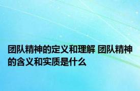 团队精神的定义和理解 团队精神的含义和实质是什么