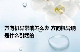 方向机异常响怎么办 方向机异响是什么引起的