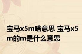 宝马x5m啥意思 宝马x5m的m是什么意思