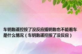 车钥匙遥控按了没反应插钥匙也不能着车是什么情况（车钥匙遥控按了没反应）