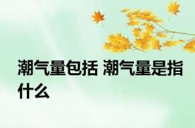 潮气量包括 潮气量是指什么