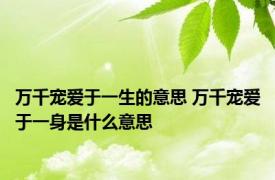 万千宠爱于一生的意思 万千宠爱于一身是什么意思