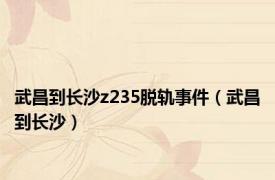 武昌到长沙z235脱轨事件（武昌到长沙）