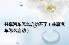 共享汽车怎么启动不了（共享汽车怎么启动）