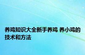 养鸡知识大全新手养鸡 养小鸡的技术和方法