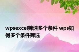 wpsexcel筛选多个条件 wps如何多个条件筛选