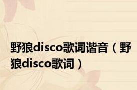 野狼disco歌词谐音（野狼disco歌词）