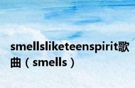 smellsliketeenspirit歌曲（smells）