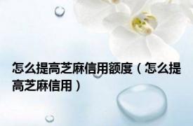 怎么提高芝麻信用额度（怎么提高芝麻信用）