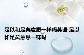 足以和足矣意思一样吗英语 足以和足矣意思一样吗