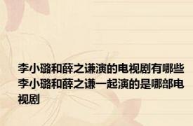 李小璐和薛之谦演的电视剧有哪些 李小璐和薛之谦一起演的是哪部电视剧