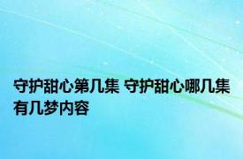 守护甜心第几集 守护甜心哪几集有几梦内容