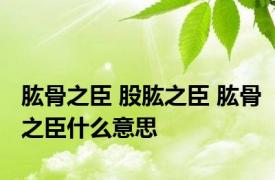 肱骨之臣 股肱之臣 肱骨之臣什么意思