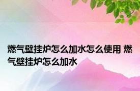 燃气壁挂炉怎么加水怎么使用 燃气壁挂炉怎么加水