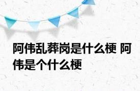 阿伟乱葬岗是什么梗 阿伟是个什么梗