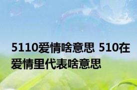 5110爱情啥意思 510在爱情里代表啥意思