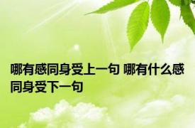 哪有感同身受上一句 哪有什么感同身受下一句