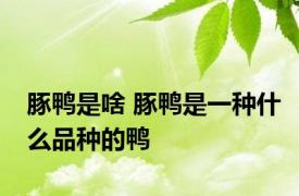 豚鸭是啥 豚鸭是一种什么品种的鸭