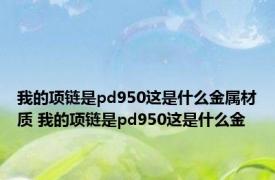 我的项链是pd950这是什么金属材质 我的项链是pd950这是什么金