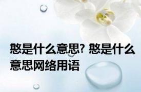 憨是什么意思? 憨是什么意思网络用语