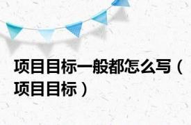 项目目标一般都怎么写（项目目标）